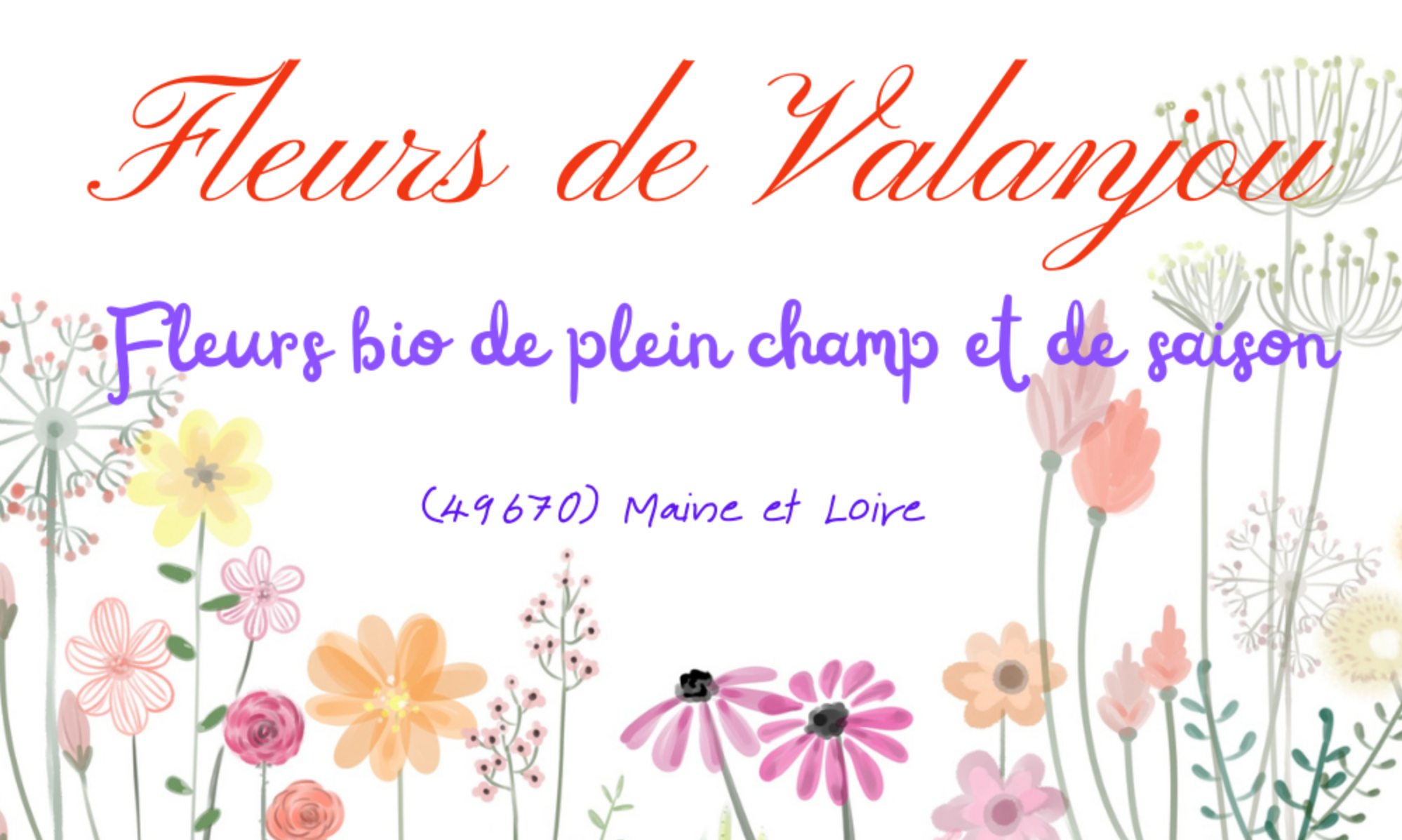 Fleurs de Valanjou